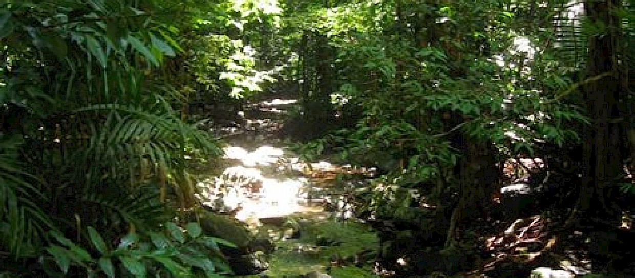 Organismi digitali mostrano fragilità ecosistemi a causa cambiamento ambientale