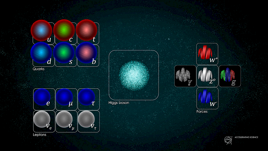 Particelle del modello standard - Credits: (Image: Daniel Dominguez/CERN). Source: CERN (CDS) under CC-BY-4.0