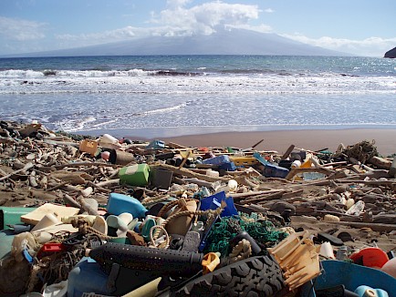 I rifiuti come le bottiglie di plastica per i detersivi, le casse, le boe, i pettini di plastica, le bottiglie d'acqua di plastica ricoprono la baia di Kanapou, sull'isola di Kaho'olawe alle Hawaii. Credits by NOAA Marine Debris Program.