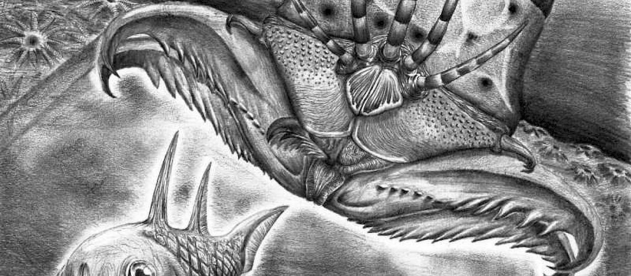 Verme gigante di 400 milioni di anni fa scoperto in Canada