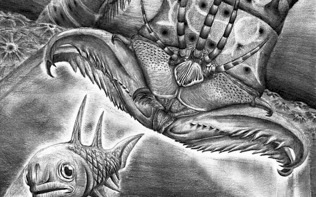 Verme gigante di 400 milioni di anni fa scoperto in Canada