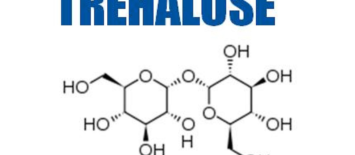 On the Bioprotective Effectiveness of Trehalose: Structural Properties of the Disaccharide Aqueous Mixtures