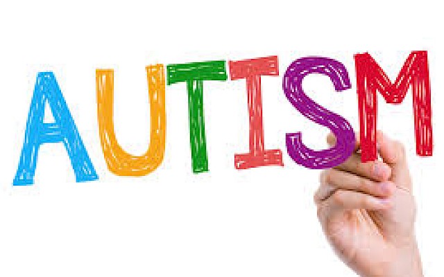 Pharmacologic Rescue of Impaired Cognitive Flexibility, Social Deficits, Increased Aggression, and Seizure Susceptibility in Oxytocin Receptor Null Mice: A Neurobehavioral Model of Autism