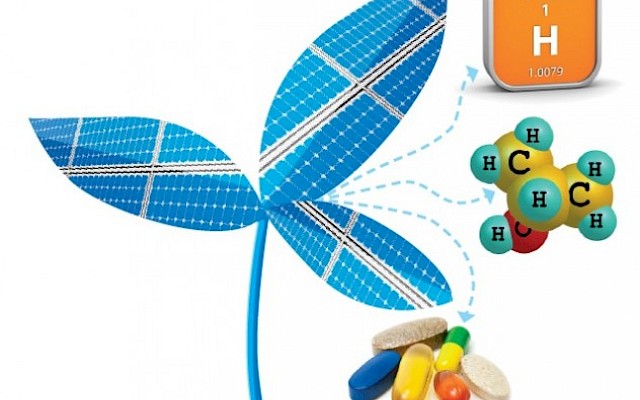A â€˜bionic leafâ€™ turns solar energy into chemicals andÂ fuels