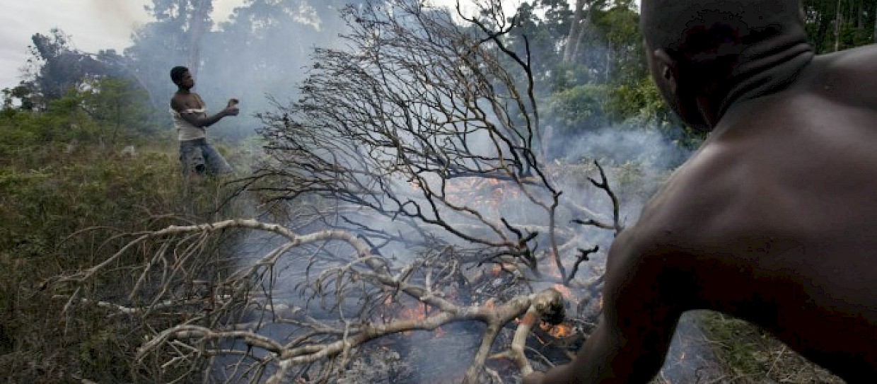 Simulated life experiences a biodiversity crisis