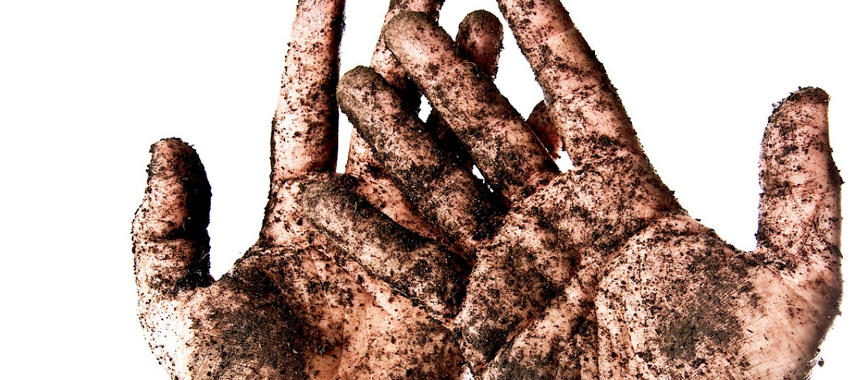 How fertilizer alters soil microbes around the world