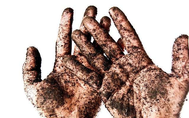 How fertilizer alters soil microbes around the world