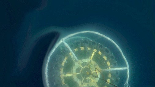 Virus negli abissi marini - Intervista a Gian Marco Luna ed Elena Lara dell’ISMAR-CNR