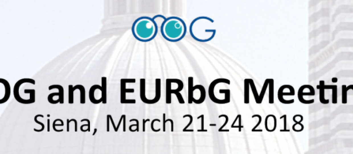 Congresso gruppo europeo di oncologia oculare e gruppo europeo retinoblastoma