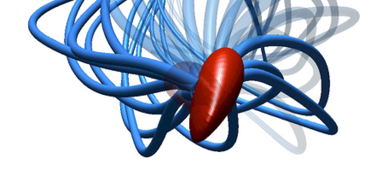 Dopo 300 anni scoperto il vero movimento degli spermatozoi
