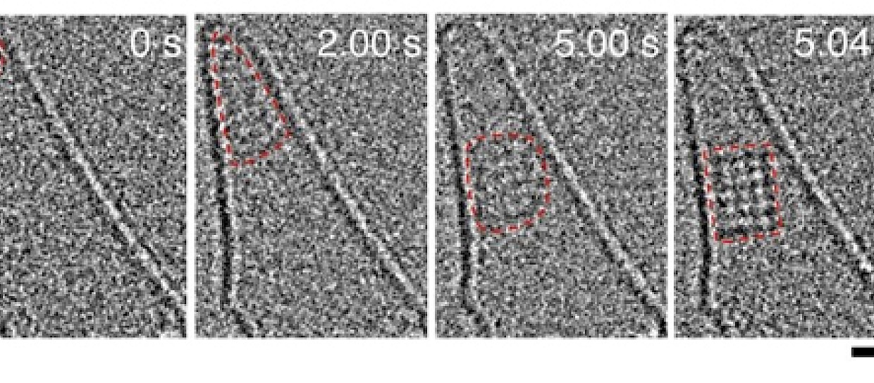 Identificata formazione cristalli di sale grazie a video a livello atomico