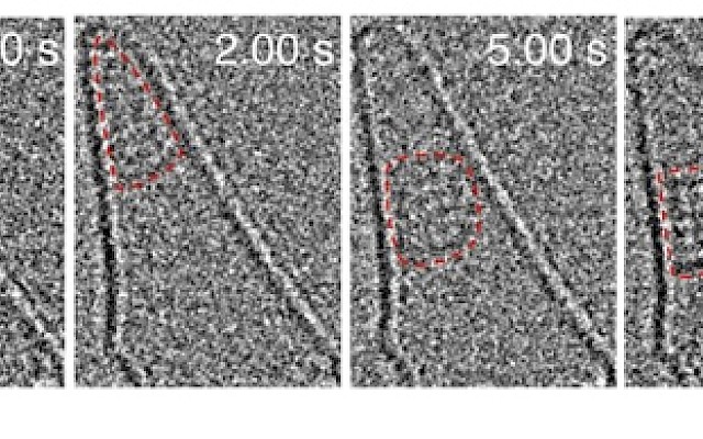 Identificata formazione cristalli di sale grazie a video a livello atomico