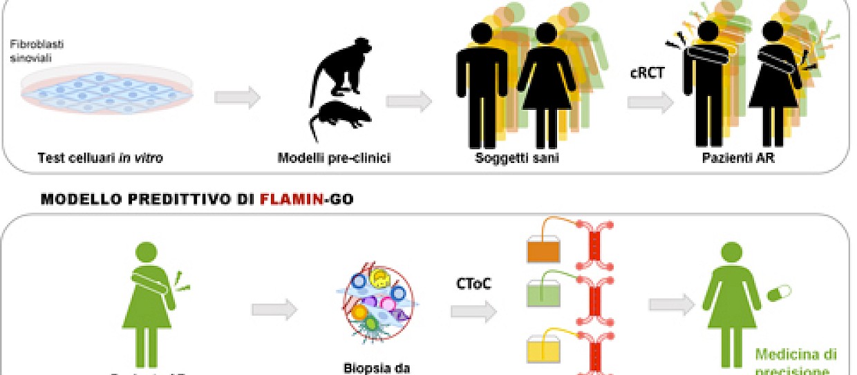 FLAMIN-GO: nel potenziale della medicina di precisione, una svolta per trattamento artrite reumatoide