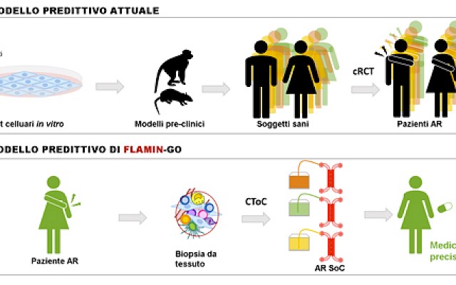 FLAMIN-GO: nel potenziale della medicina di precisione, una svolta per trattamento artrite reumatoide