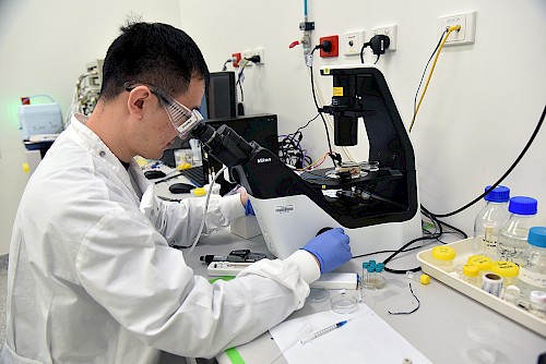 Il dott. Zhang durante uno degli esperimenti di laboratorio. Credits: Australian Institute for Bioengineering and Nanotechnology, The University of Queensland